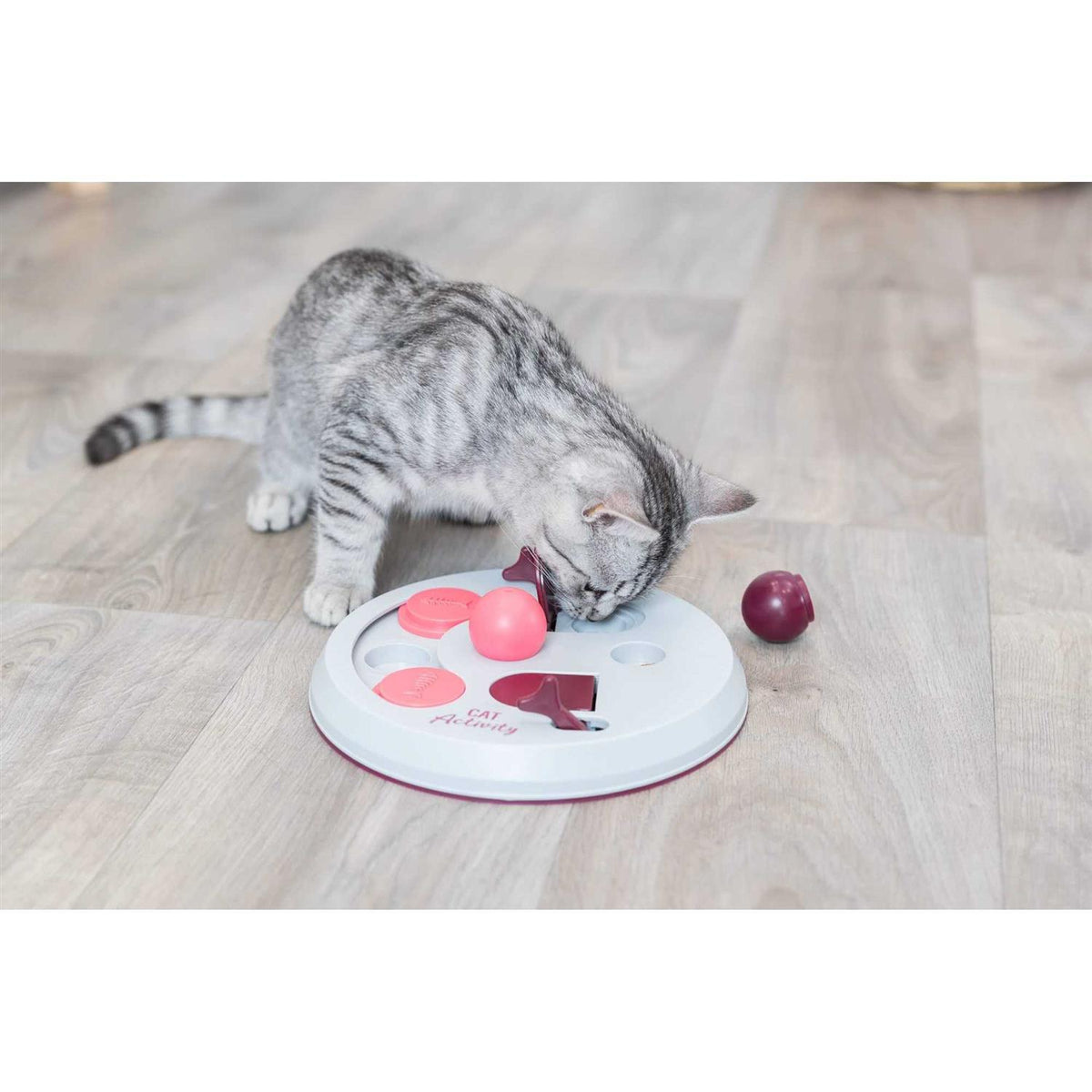 Cat Activity Flip Board D250584