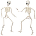 3Ft Life Size Plastic Human Skeleton with Movable Joint Q480