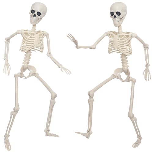 3Ft Life Size Plastic Human Skeleton with Movable Joint Q480