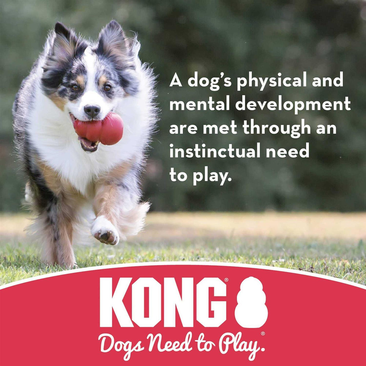 Puppy Ball with Hole Dog Toy X64593