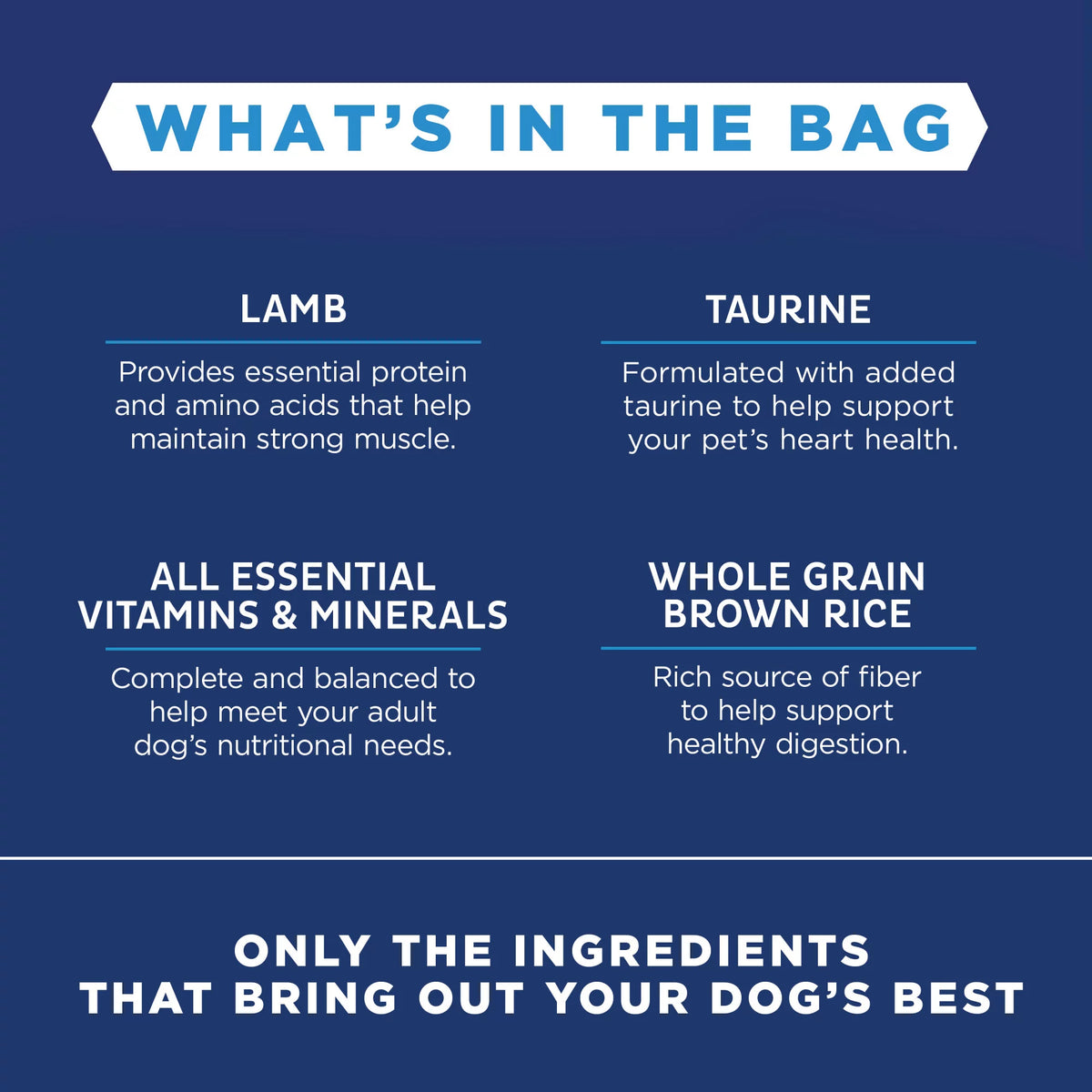 4 Pounds Limited Ingredient Dry Dog Food Y398121