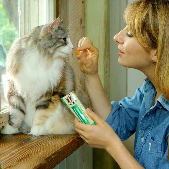 Chicken Recipe Cat Treat K914000