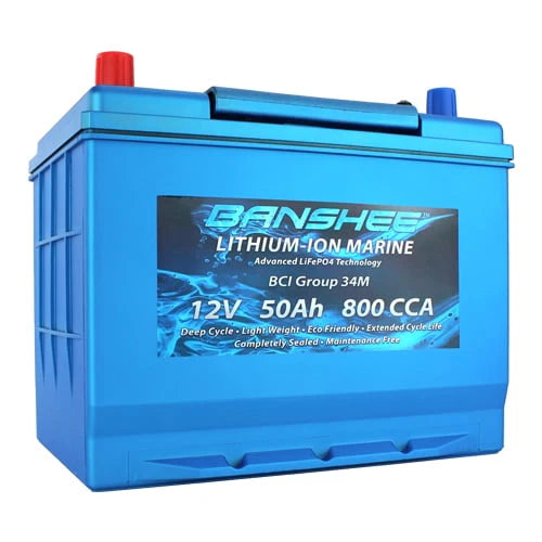Group Size 34 Deep Cycle Lithium RV Battery D5898