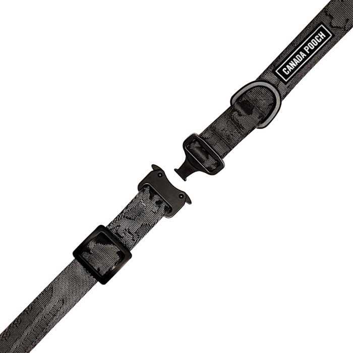 Utility Dog Collar P71094