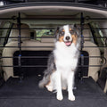 Metal Dog Barrier Pack of 2 Y496