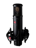 Large Diaphragm Condenser Mic with Shockmount and Filter L91519