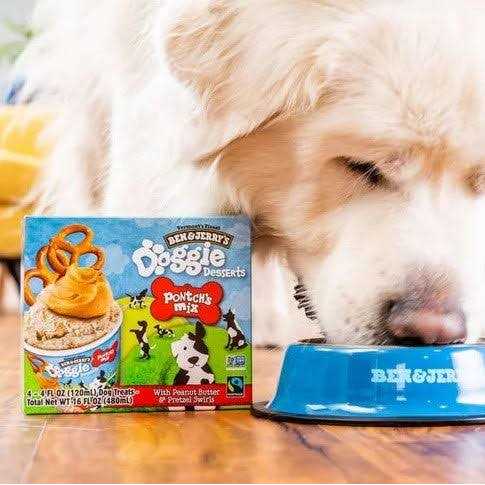 Frozen Dog Dessert D540209