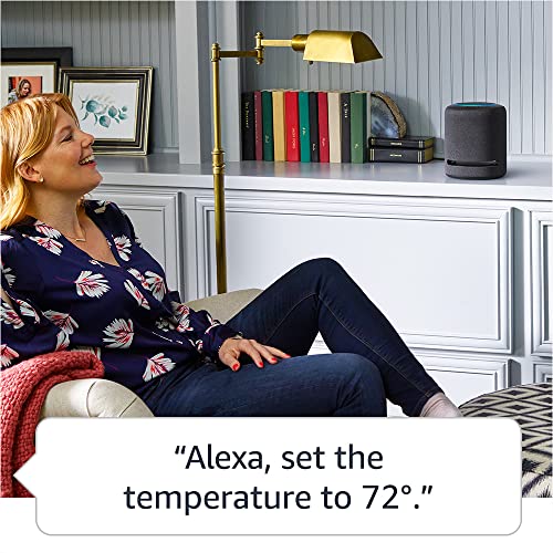 Charcoal Amazon Echo Studio R776133