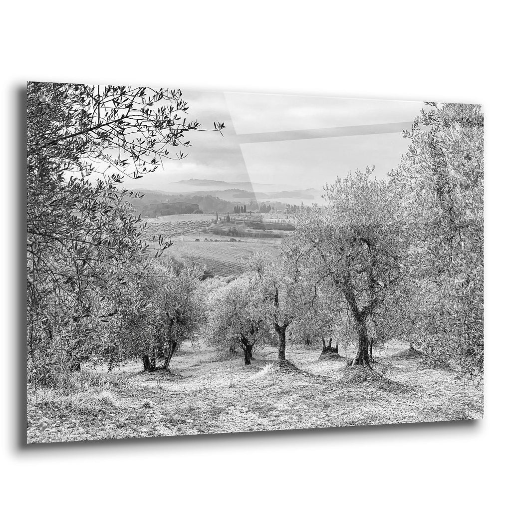 Acrylic Glass Wall Art 36"x24" M121