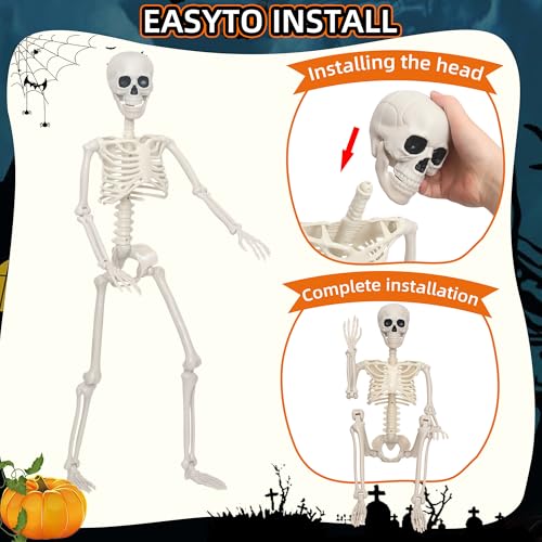 3Ft Life Size Plastic Human Skeleton with Movable Joint Q480