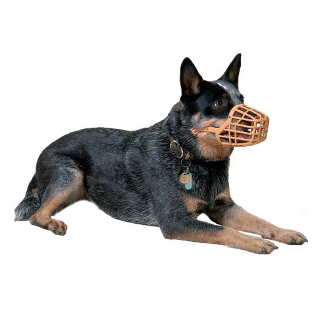 Muzzle H4780
