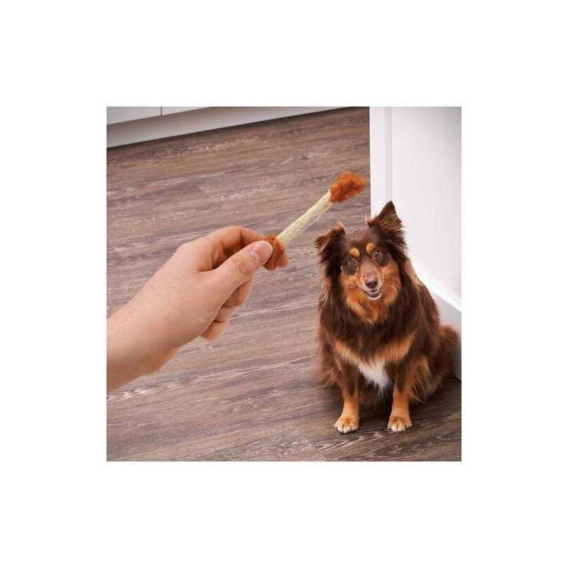 Chicken Recipe Dry Dog Training Treats W2127