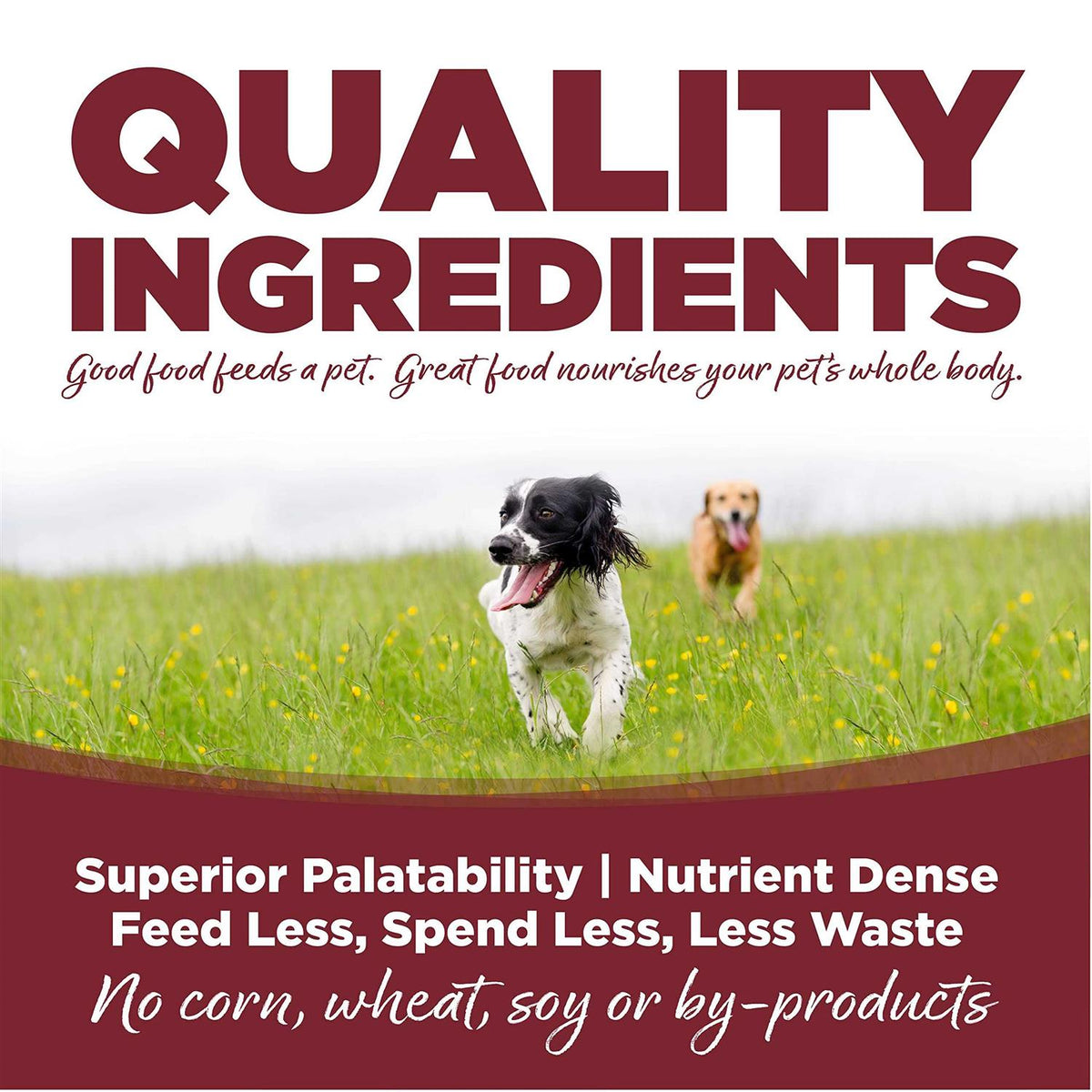 Beef Rice Dry Dog Food W14199