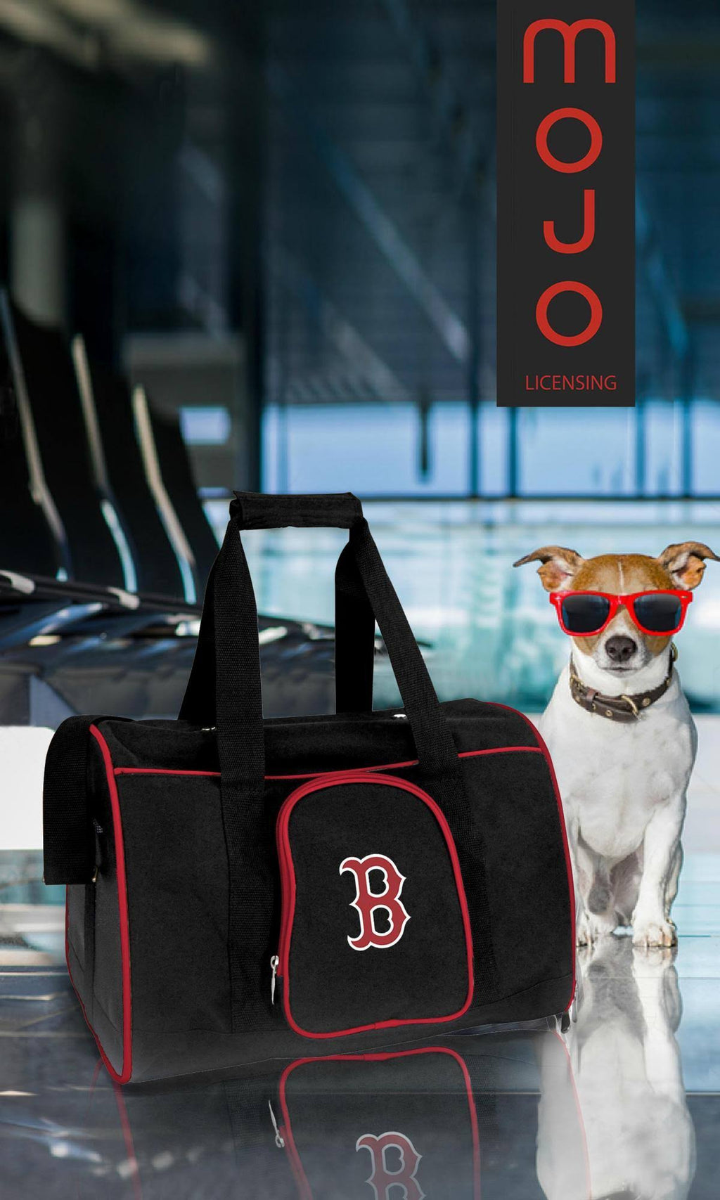 Premium Pet Carrier F833805