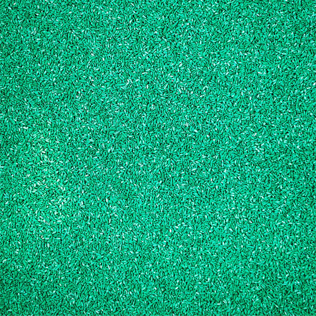 Sahara Bermudagrass Grass Seed, 5 lb. L21086