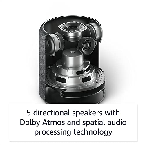 Charcoal Amazon Echo Studio R776133