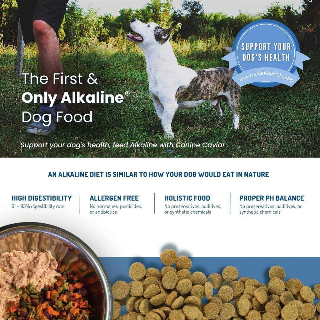Holistic Dry Dog Food O87320