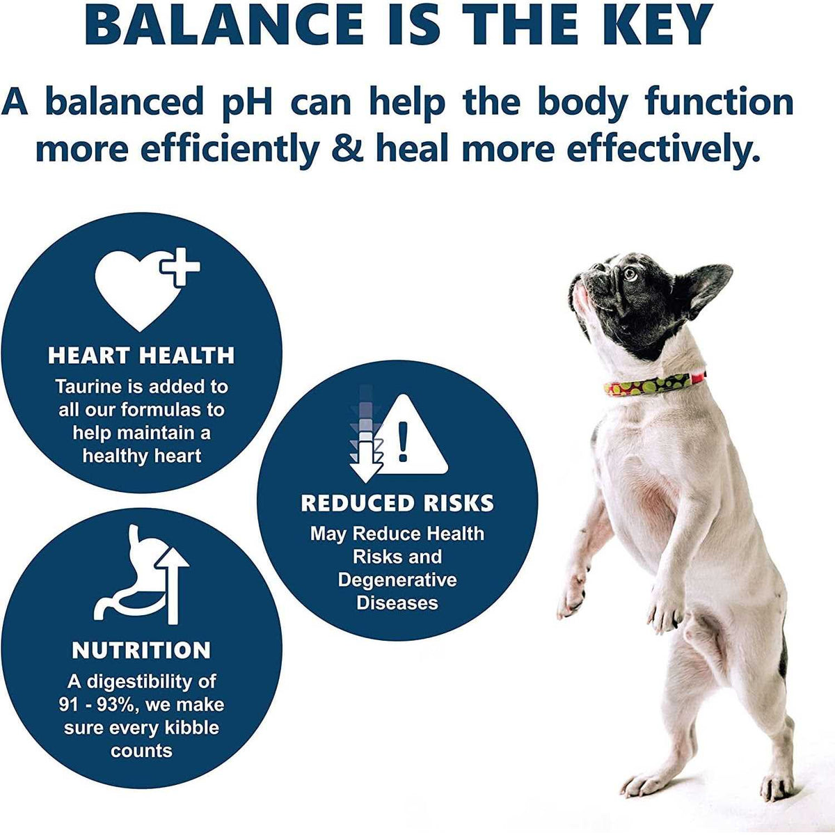 Holistic Dry Dog Food O87320