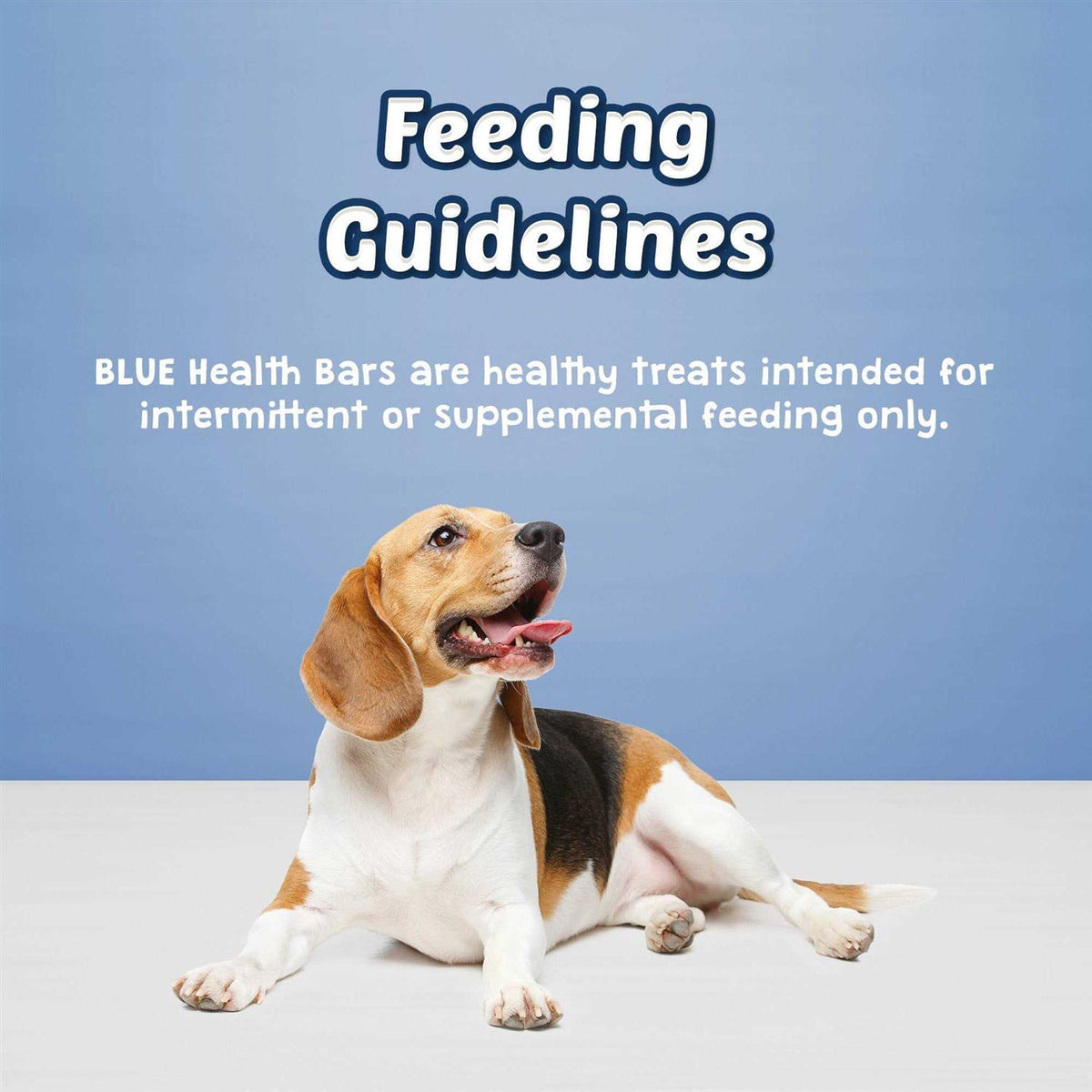 Dog Biscuits P9358