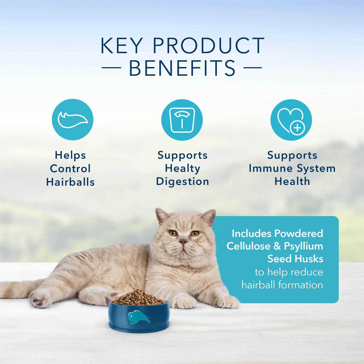 Indoor Hairball Control Adult Dry Cat Food B97670