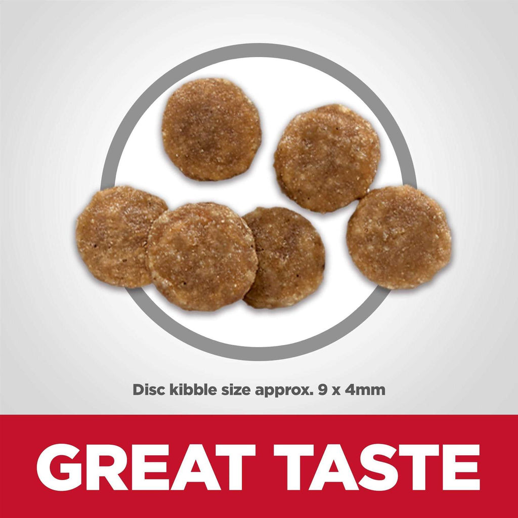 Chicken Dry Cat Food K3119