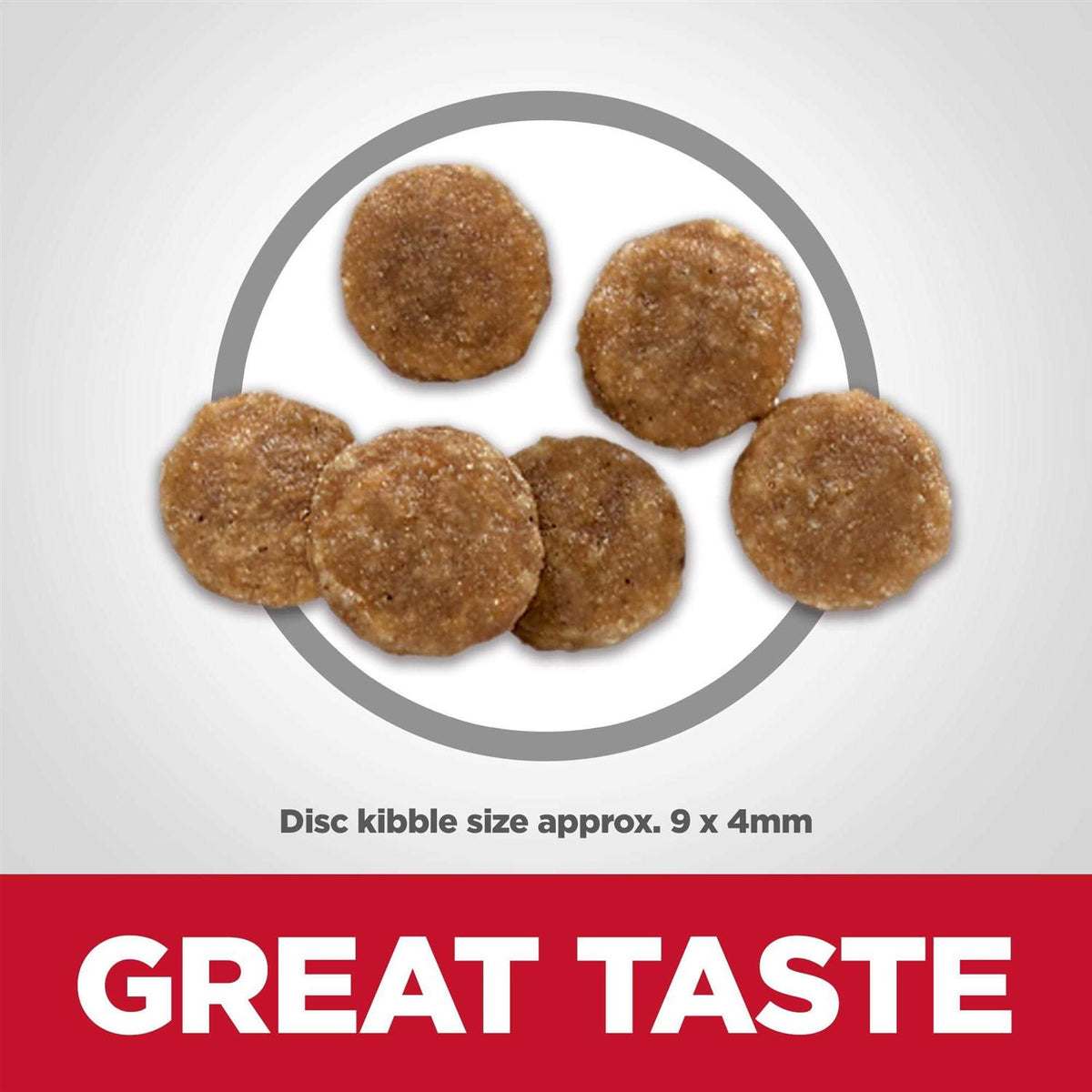 Chicken Dry Cat Food K3119