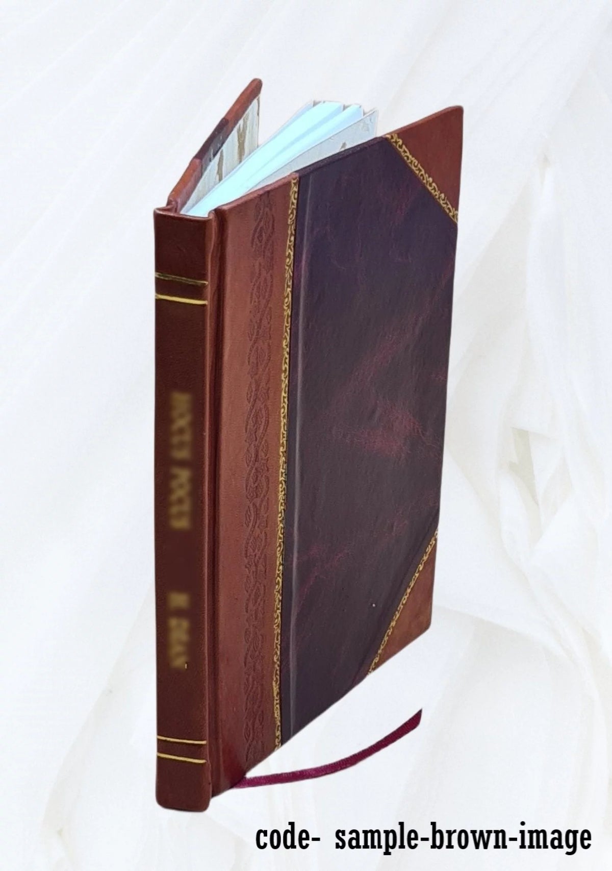 Leather Bound P23314