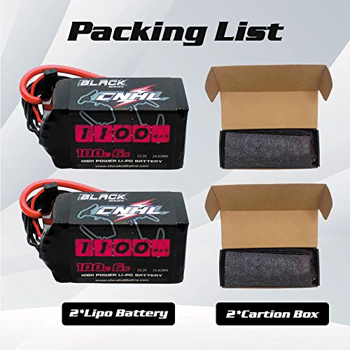 6S 1100mAh 100C 22.2V Lipo Battery with XT60 Plug (2 PCS) C743550
