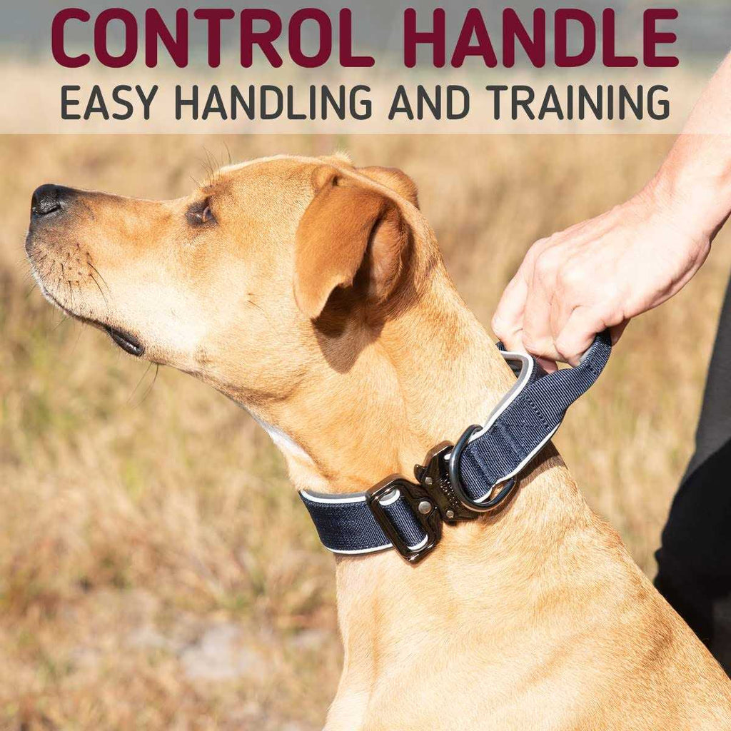 Heavy-Duty Adjustable Dog Collar with Handle P456470