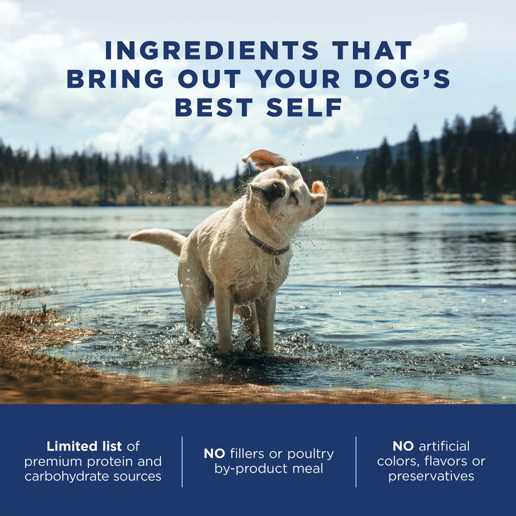 4 Pounds Limited Ingredient Dry Dog Food Y398121