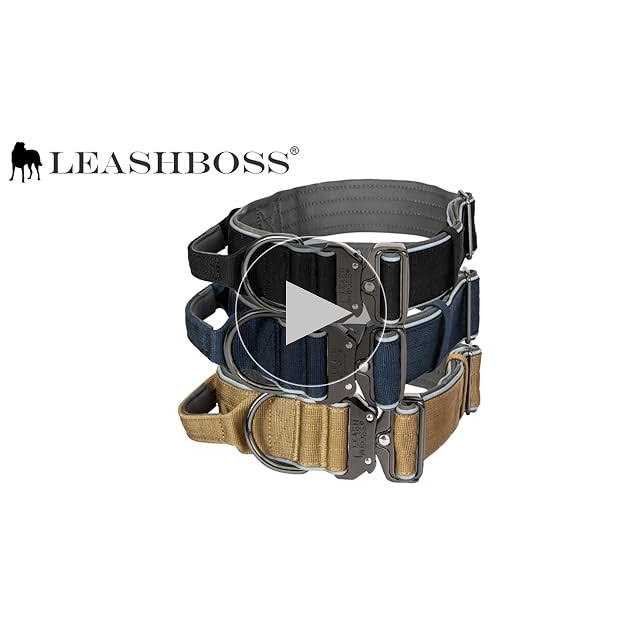 Heavy-Duty Adjustable Dog Collar with Handle P456470