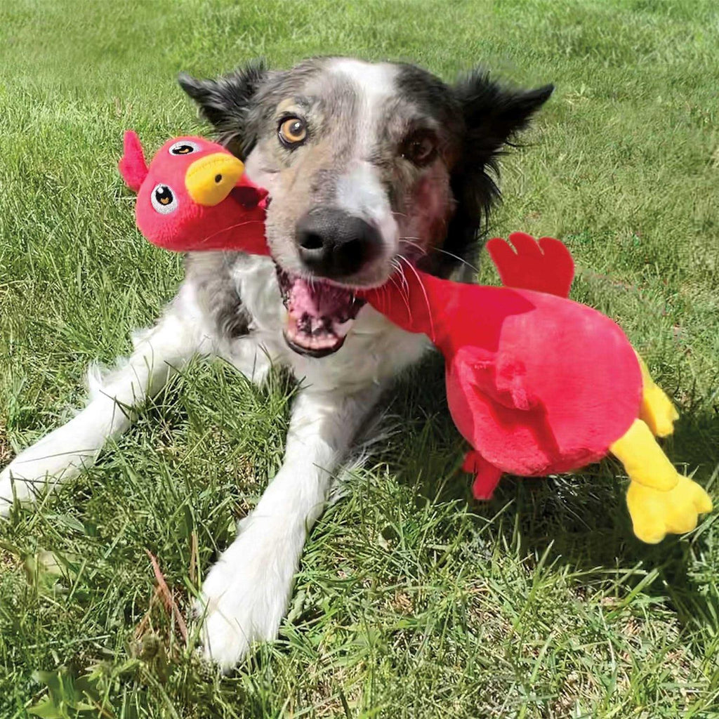 Dog Toy Rooster R740182