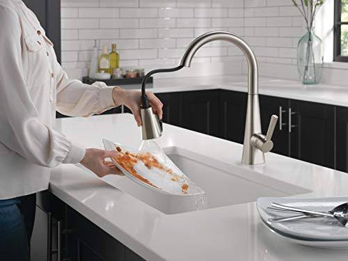Single-Handle Pull-Down Kitchen Faucet, SpotShield Stainless C867