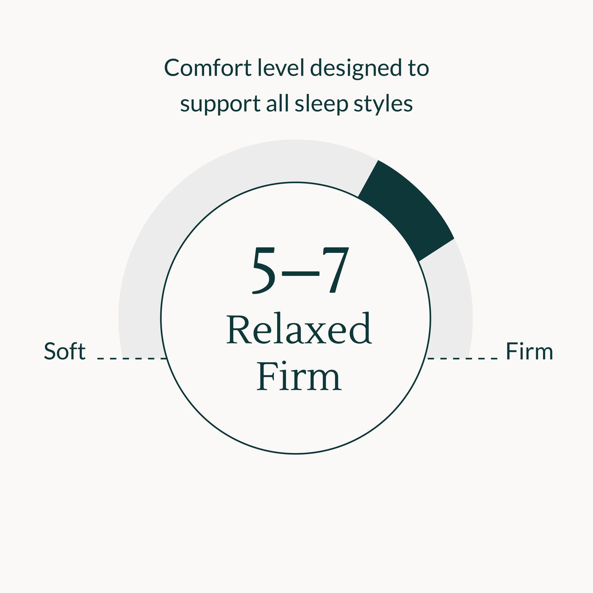 Queen Memory Foam Mattress T95557