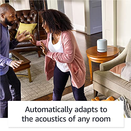 Charcoal Amazon Echo Studio R776133