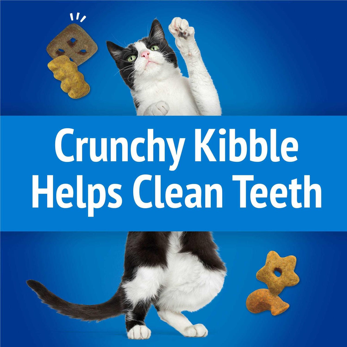 Cat Treats Party Mix Crunch Q86159