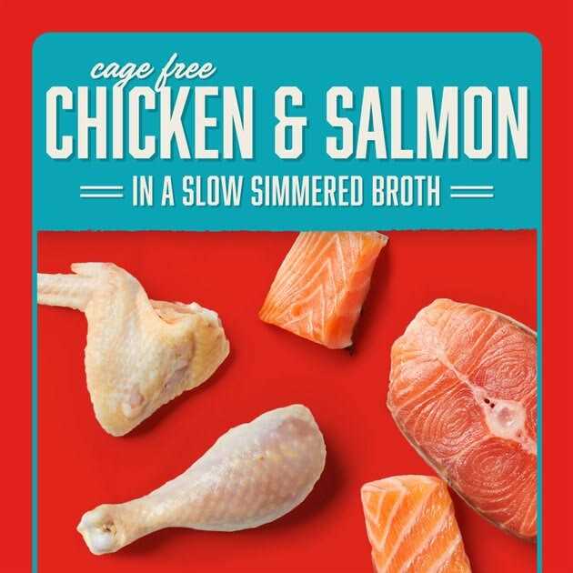 Chicken Dog Food V34982