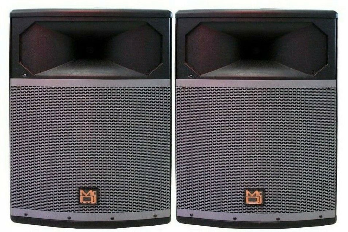 2-Way Full-Range Passive DJ Speaker 15” I227314