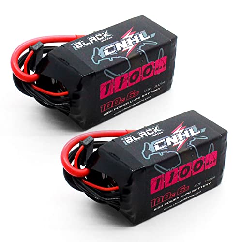 6S 1100mAh 100C 22.2V Lipo Battery with XT60 Plug (2 PCS) C743550