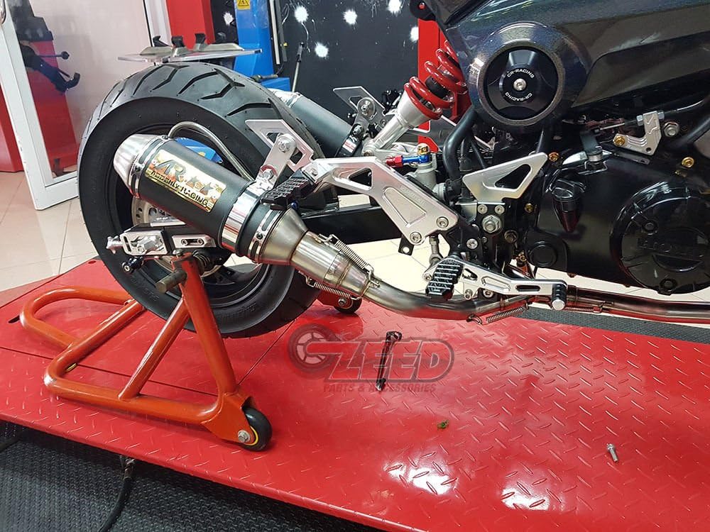 Dual Low Mount Exhaust D40969