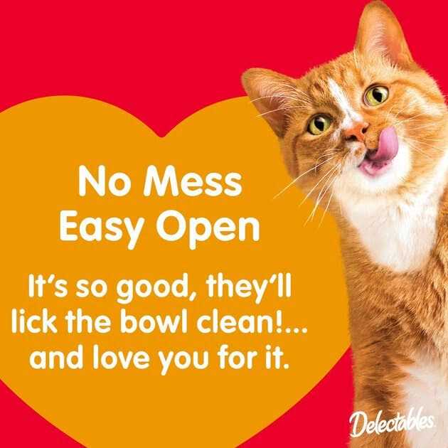 Chicken Cat Treat K22935