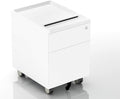 2 Drawer Mobile Filing Cabinet with Lock and Casters X915394
