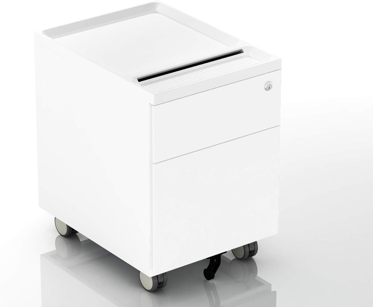 2 Drawer Mobile Filing Cabinet with Lock and Casters X915394