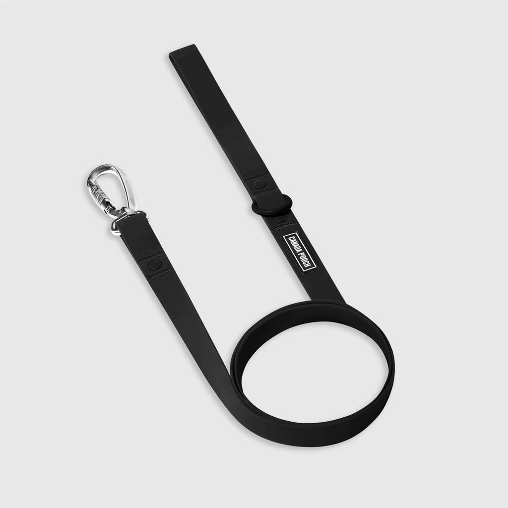 Utility Dog Collar P71094