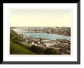 Framed Print 17-7/8" x 21-7/8" N2236