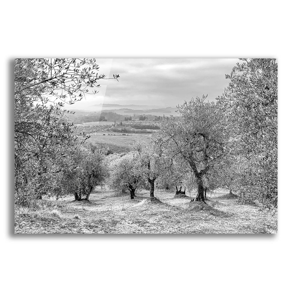 Acrylic Glass Wall Art 36"x24" M121