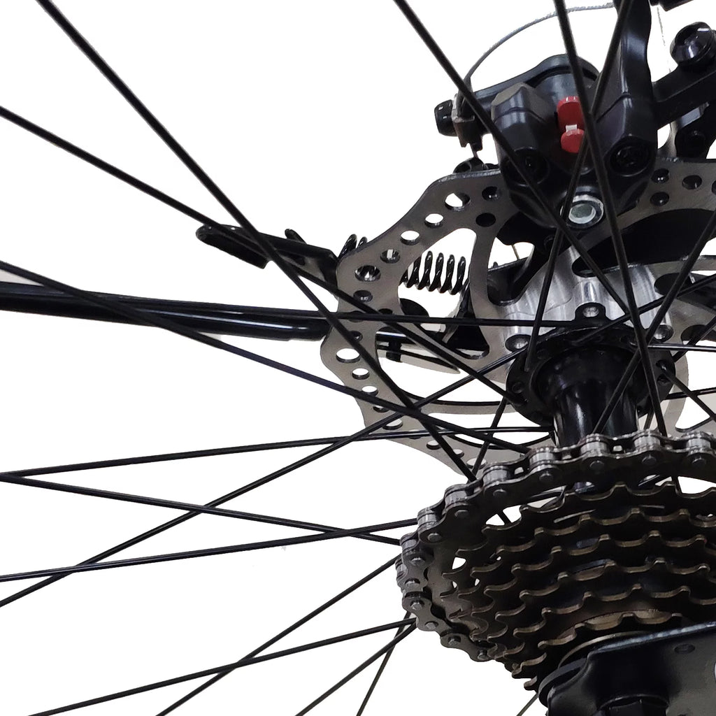 26-Inch Wheels 21 Speed Dual Disc Brake Mountain Bike O9433