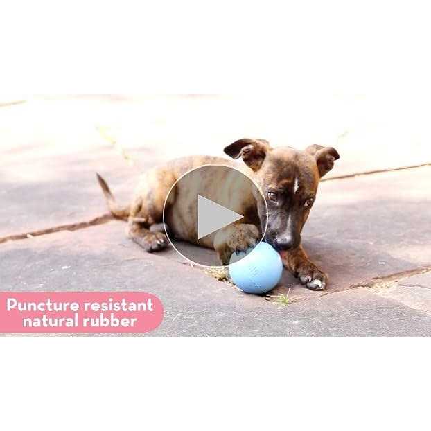 Puppy Ball with Hole Dog Toy X64593