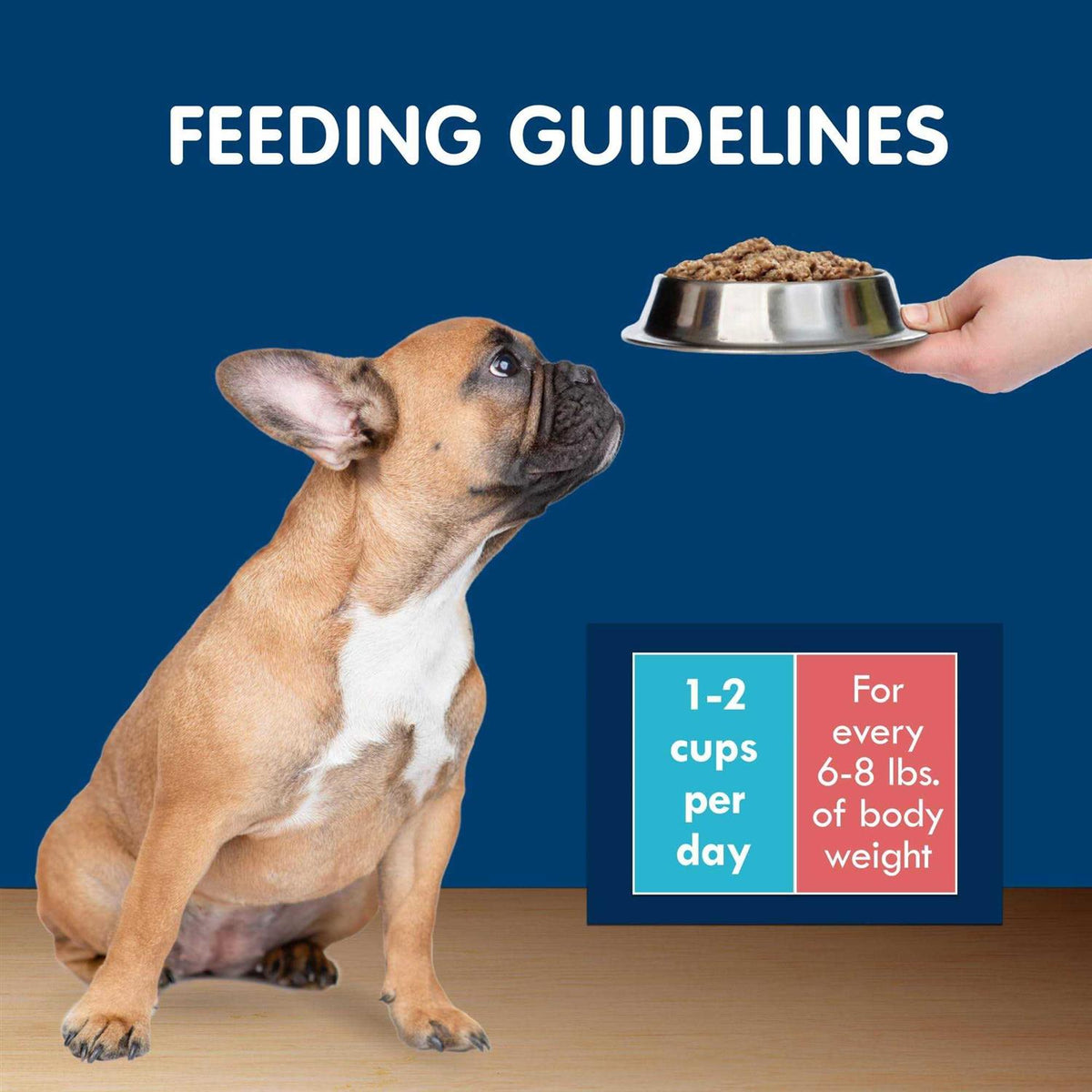 Grain-Free Chicken Wet Dog Food Variety Pack Q312587