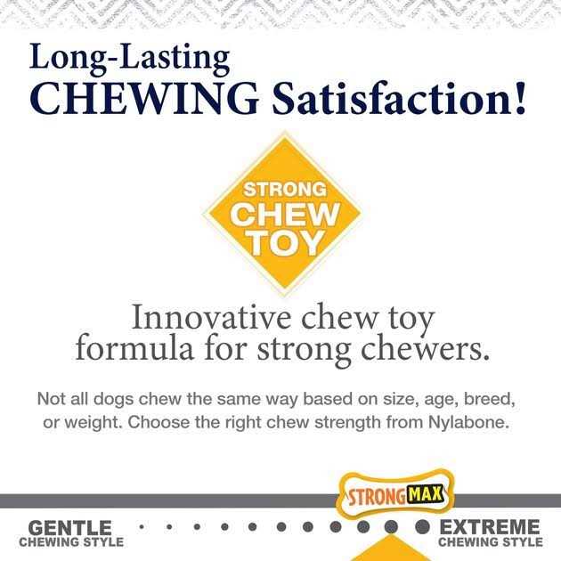 Strong Chew Wishbone Dog Toy J482